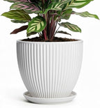 Ceramic Pots for Plants, 6 Inch Plant Pot with Drainage Hole and Saucer, Round Ceramic Flower Pots for Indoor Plants, Modern Small Succulent Planter, Room Home Decor, Plant Lover Gifts, White