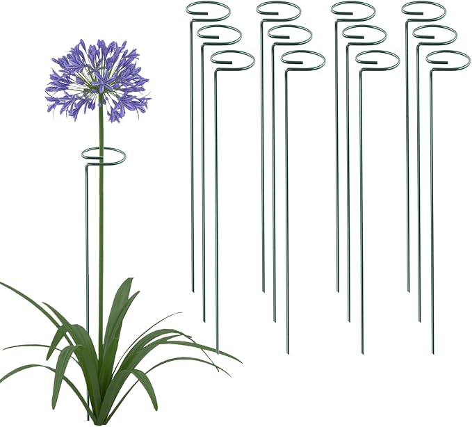 Thealyn 12 Pack 18 Inch Plant Support Stakes, Metal Single stemmed Flower Support Hoops，Garden Plant Stakes Plant Prop for Amaryllis Orchid Lily Rose Peony Tomatoes Gladiolus
