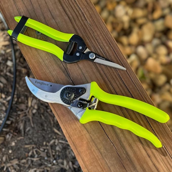 Foxglove Pruning Shears – Professional Garden Shears & Bypass Hand Pruners with Japanese SK5 High Carbon Steel Blades, Heavy Duty Garden Clippers & Gardening Tools