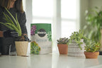 Miracle-Gro Succulent Potting Mix - Potting Soil Mix for Indoor Succulents, Aloe Vera and More, Made with Miracle-Gro Plant Food, 4 qt. (2-pack)