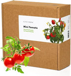 Click and Grow Smart Garden Mini Tomato Plant Pods, 9-Pack