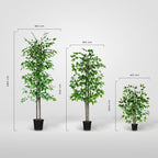 BLAINE | Ficus 39in | Decorative Artificial Plants | Large Artificial Plant | Artificial Plants for Indoor/Outdoor use | Realistic Decorative Artificial Plant for Home
