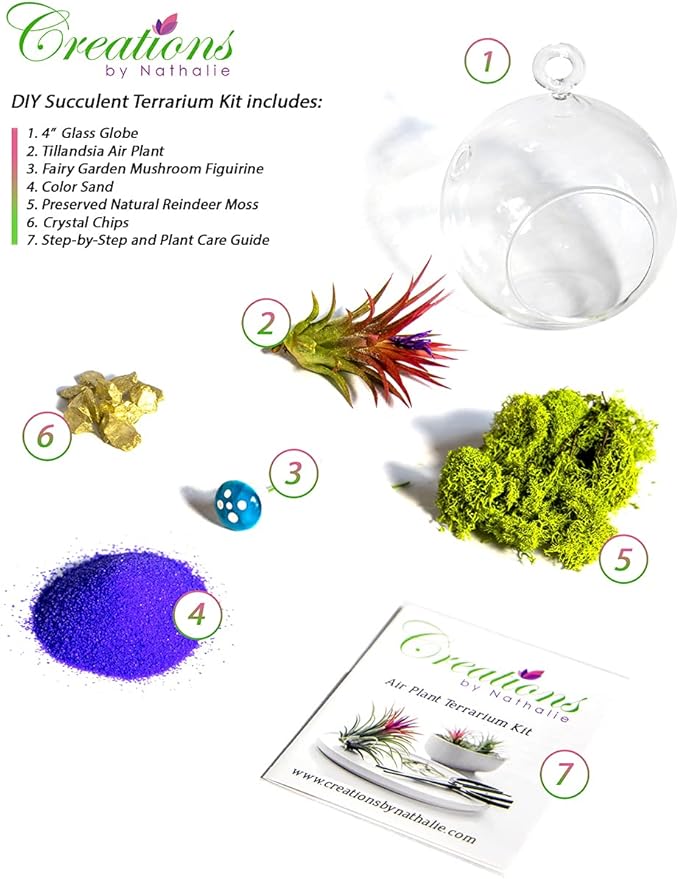 Creations by Nathalie - DIY Terrarium Kit with Live Air Plant (Local & Fresh from Florida), Glass Globe, Reindeer Moss, Figurine, Healing Crystal Chips and Sand - Handmade in USA