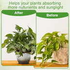 6Pcs Heart Plant Trellis for Climbing Plants, Acrylic Houseplant Trellis for Monstera Pothos Plants, Plant Support for Potted Plants Accessory Vine Ivy Hoya Flowers Indoor Outdoor