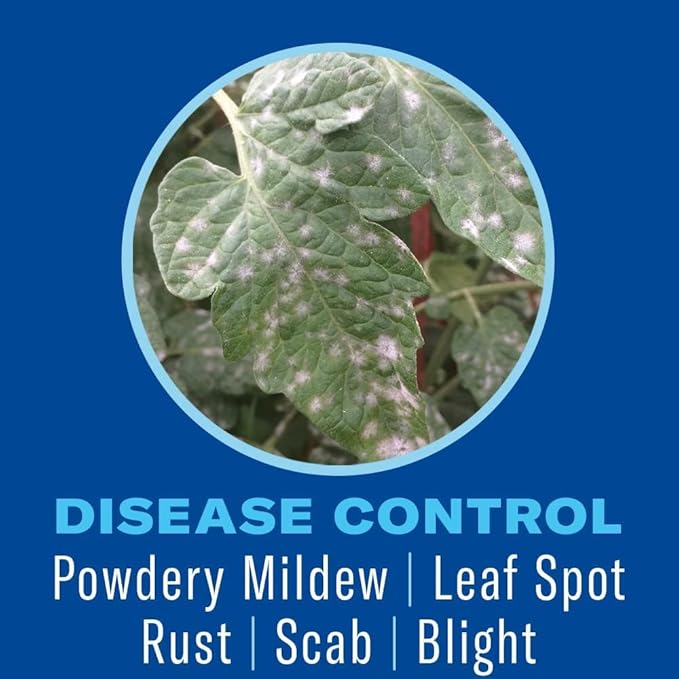 BioAdvanced Houseplant Insect & Mite Control, Ready-to-Use Fungal Disease & Fungus Gnats Killer, 24 oz, Plant Spray for Fungus Gnats