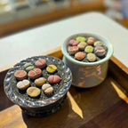 Live Lithops Succulent Plants, 10 Pcs, Rainbow Colorful Variety, Random Pick, Bare Root Without Pot & Soil, Indoor Office Desk Decoration, Plant Lovers Gifts