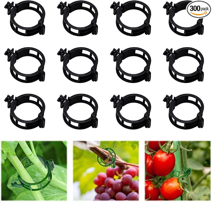 100pcs Plant Support Clips for Climbing Plants, Reusable Plastic Trellis Clips for Tomato, Grape Vine, Vegetables, Garden Fixing Clips (300, Black)