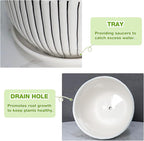 Ceramic Plant Pots Set of 3, 6.75/5.6/4.2 inch Planters with Drainage Holes and Saucer, Flower Pot Outdoor Indoor, Modern Decorative Planters for House Plants Garden Planters Succulent Pots