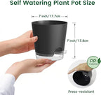 Meowell 7 inch Self Watering Pots for Indoor Plants, 5 Pack Plant Pots with Drainage Holes & Clear Reservoir for Visible Water Level, Plastic Wicking Planter Pots for House Plants and Flower, Black