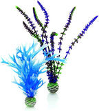 biOrb Blue/Purple Plant Pack Medium