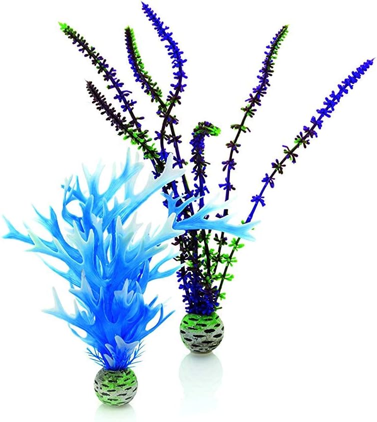 biOrb Blue/Purple Plant Pack Medium