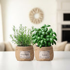 10 Sets herb pots for Indoor Plants,5 inch Clear Plastic Plant Pots with Drainage and Saucer,herb planters with Vintage Decorative Burlap Flower-Pot Cover for Windowsill, Kitchen, Balcony