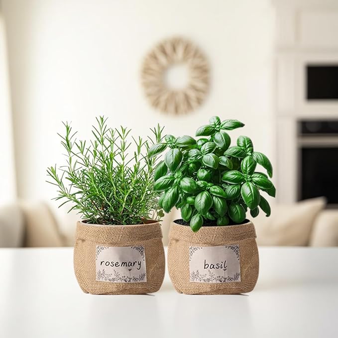 10 Sets herb pots for Indoor Plants,5 inch Clear Plastic Plant Pots with Drainage and Saucer,herb planters with Vintage Decorative Burlap Flower-Pot Cover for Windowsill, Kitchen, Balcony