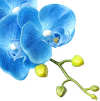 Htmeing 38 Inch Artificial Phalaenopsis Flowers Branches Real Touch (Not Silk) Orchids Flowers for Home Office Wedding Decoration,Pack of 2 (Dark Blue)