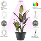 2 Pack 11 Inch Plant Pots with LED Grow Lights,Indoor Flower Pots with Full Spectrum Dimmable Lights,Drainage Holes & Plug,Soil Moisture Meter Included,Modern Planters for Home Office