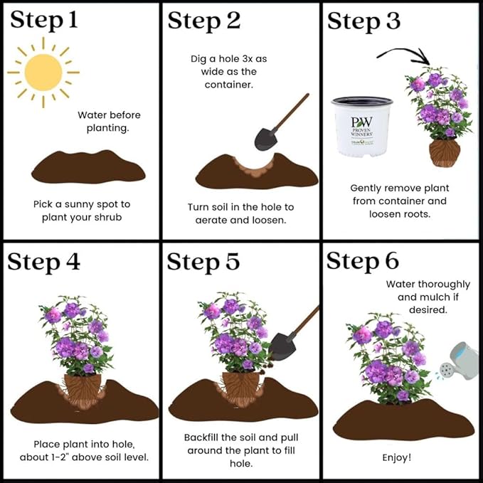 Proven Winners 2 Gal. Dark Lavender Chiffon Rose of Sharon (Hibiscus) Shrub