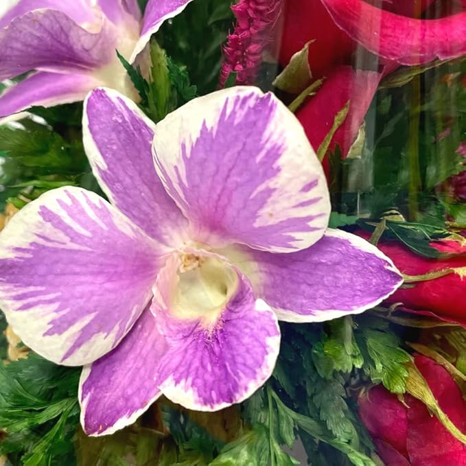 Luxury Orchid Arrangement | Preserved Orchids in Glass Vase | Long-Lasting Flowers for Anniversary, Wedding, or Corporate Gifts