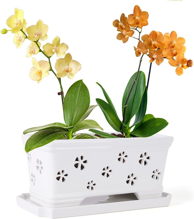 10 * 4.3 * 4.3Inch Rectangle Ceramic Orchid Pot with Holes & Saucer White Effective Drainage & Ventilation for Indoor Orchids ﻿