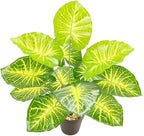 Artificial Caladium Plant with Red and Green Leaves, Red Leaf Artificial Plants Decoration Simulated Bonsai Potted Decor Home Room Party Wedding Office Floor (Light Green(No Flowerpot), 60cm)
