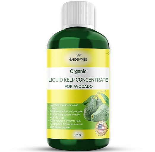 GARDENWISE Organic Premium Kelp Seaweed Fertilizer - Liquid Plant Food - Nutrient-Rich Soil Enhancer - Improves Fruit Yield and Quality - Natural Plant Food for Avocado Tree (32 OZ)