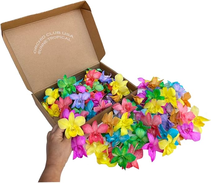 Miami Fresh Orchid Loose Bloom PERISHABLE flowers OrchidClub USA Sunne Tropical DIY lei, food & drink decoration (100 CANDY)