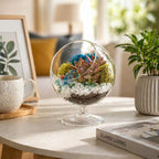 Creations by Nathalie DIY 6" DIY Chalice Terrarium Kit - Build Your Own Glass Terrarium for Adults & Teens with Moss, Crystals, Tools & Decor - Handcrafted in the USA (Live Plant Included)