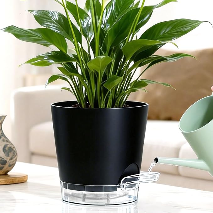 Self Watering Pots for Plants, 2026 New Flower Plant Pots with Drainage Holes, Wicking and Clear Reservoirs for Succulent, Aloe, Cacti and Others - 6 Pack (Black, 5")