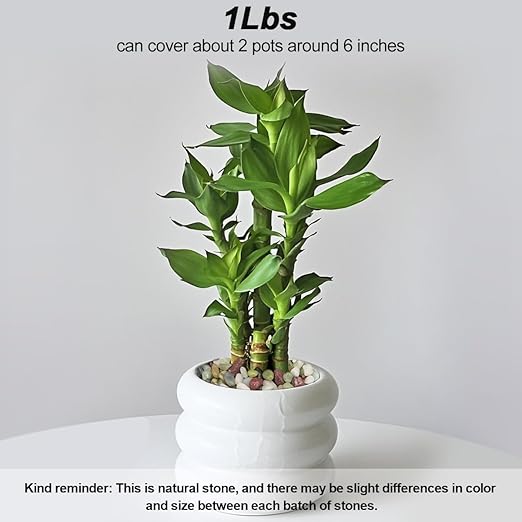 Landscaping Pebbles,River Rocks,Decorative Ornamental Pebbles,Garden Landscaping Stones,Gravel Filler for Home Decoration Flower Bed Fish Tank Plants