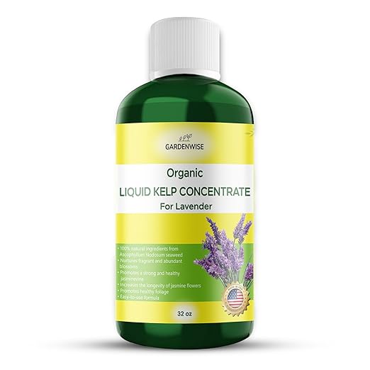 GARDENWISE Organic Seaweed Fertilizer for Lavender - Rich Nutrients Kelp Fertilizer for Plants | Indoor & Outdoor Use - Liquid Plant Food (32 OZ)