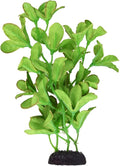 Underwater Treasures Silk Bacopa Monnieri - 8"