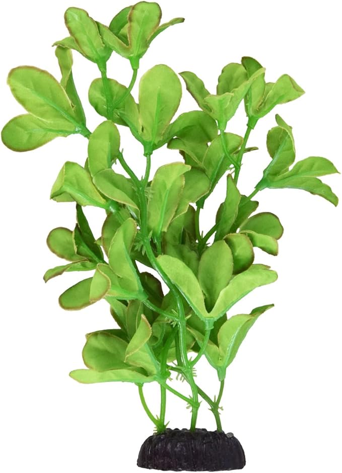 Underwater Treasures Silk Bacopa Monnieri - 8"