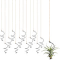 12 Pcs Air Plants Live Holders with Jute Ropes, Soilless Air Plant Hanger Hanging Plant Holder Succulent Hanging Display