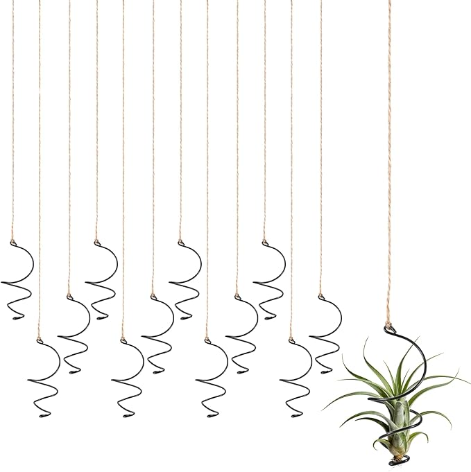 12 Pcs Air Plants Live Holders with Jute Ropes, Soilless Air Plant Hanger Hanging Plant Holder Succulent Hanging Display