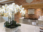 DILATATA Blooming Phalaenopsis Orchid Artificial 31.5" Long Stem with 9 Large Orchids Flowers Artificial Flowers for Decoration Home Arrangement-White Green Orchid 2 Pcs