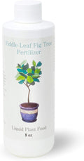 Fiddle Leaf Fig Tree Fertilizer | Ficus Plant Food | Improves Leaves and Branches | Potted Indoor Trees and House Plants Treatment by Aquatic Arts