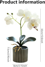 Artificial Orchid 12.6 Inch Tall Realistic Faux Orchid in A Pot Real Touch Decorative Bonsai Fake Flowers for Table Centerpieces Living Room Home Decor White