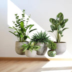 iMagitek Large Green Plant Wall Decals Tropical Leaves 3D Potted Plant Wall Stickers for Living Room Bedroom Home Wall Decor 43.7x34.65inch