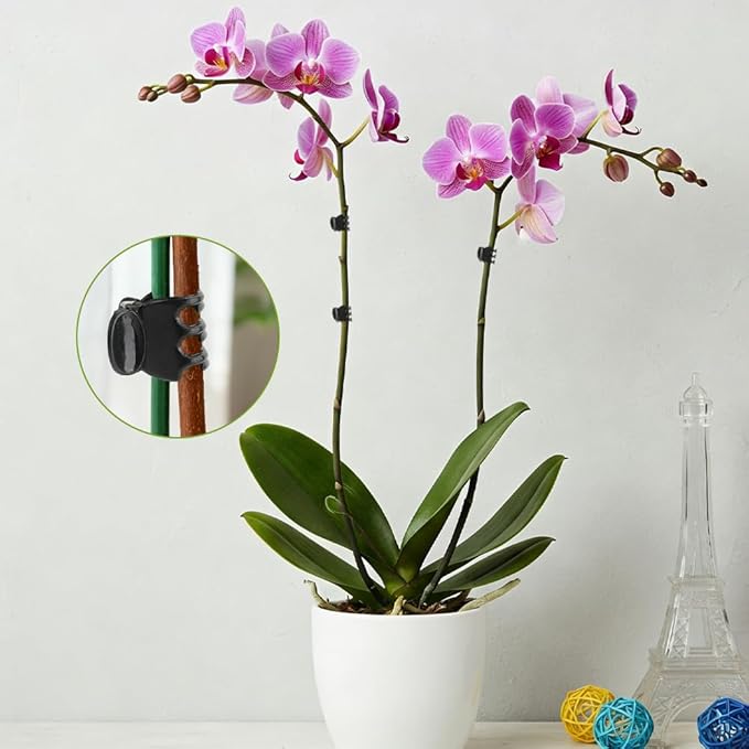 100 Pcs Plant Clips Orchid Plant Clips for Climbing Plants, Plastic Plant Support Clips Green Flower Vine Clips Tomato Trellis Clips for Supporting Vegetables Stems Vines Climbing Plant Grow Upright