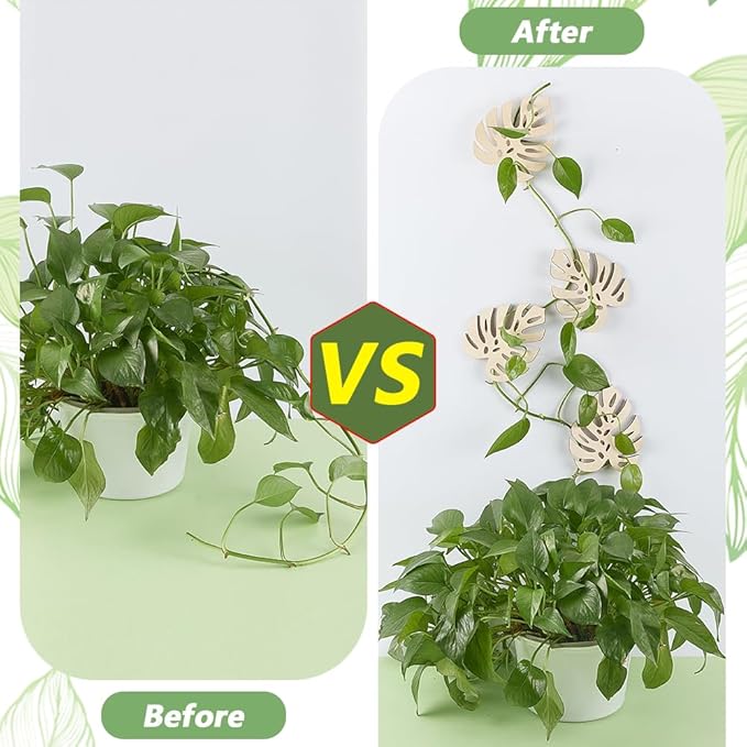 FINGERINSPIRE 4Pcs Wall Vine Holder Wooden Monstera Leaf Wall Mount for Climbing Plants 4.3x5.3inch Floral White Plant Wall Fixtures Wooden Leaf Trellises for Vines Houseplant Home Office Decoration