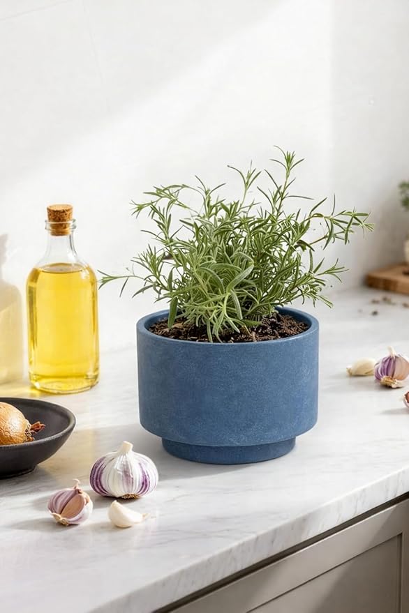Succulent Pots, 8 Inch + 6 Inch Plant Pots for Plants with Drainage Hole, Indoor Outdoor Ceramic Planter, Set of 2 Round Flower Pots for Succulent and Plants, Blue