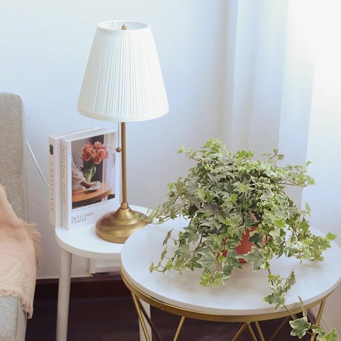 Golden English Ivy (6 inch) - Air-Purifying Houseplants - 4/6 inch Unique Live Decorative Houseplants - Low-Maintenance Indoor Plants, House Warming Gift, Natural Air Purifier