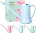 XXXFLOWER 1/2 Gallon Small Indoor Plant Watering Can, 2L Long Spout Removable Nozzle Flower Watering Pot for Office House Indoor Garden（Blue, 67 oz）