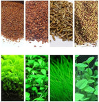 4 Bags Aquarium Plant S.e.e.ds, not Artificial Plastic Plant, Fish Tank Live Grass for All Substrate