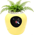 Smart Plant Pot with Expression, AI Intelligent Flower Pot for Indoor Decoration, Smart Garden Pot with Water/Light/Temperature Sensors, Ivy AI Planter (Yellow（Big）)