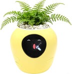 Smart Plant Pot with Expression, AI Intelligent Flower Pot for Indoor Decoration, Smart Garden Pot with Water/Light/Temperature Sensors, Ivy AI Planter (Yellow（Big）)