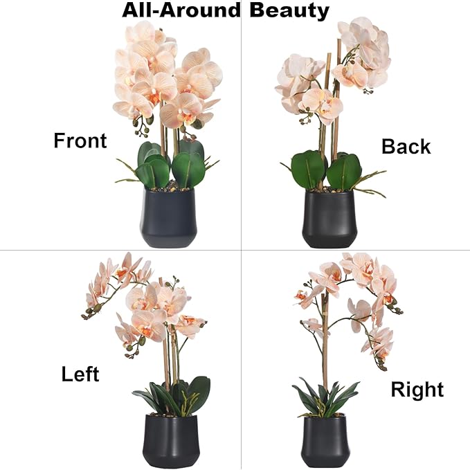 Orchids Artificial Plant in Ceramic Pot 18.5" Faux Orchid Phalaenopsis Flowers Arrangement for Home Office Table Centerpiece Indoor Decor, Champagne
