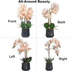 Orchids Artificial Plant in Ceramic Pot 18.5" Faux Orchid Phalaenopsis Flowers Arrangement for Home Office Table Centerpiece Indoor Decor, Champagne