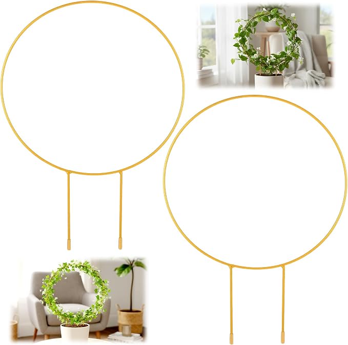 2 Pack Circle Trellis for Climbing Plants Indoor, Small Metal Garden Plant Support Stakes for Decorative Potted Plants Pothos Hoya Trelli Vines Indoor Outdoor (Gold)