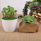 COTSEN 18 Pack Artificial Succulents Realistic Textured Fake Succulents Unpotted Artificial Cactus Plant Suitable for Garden Home Office Greening and Decoration