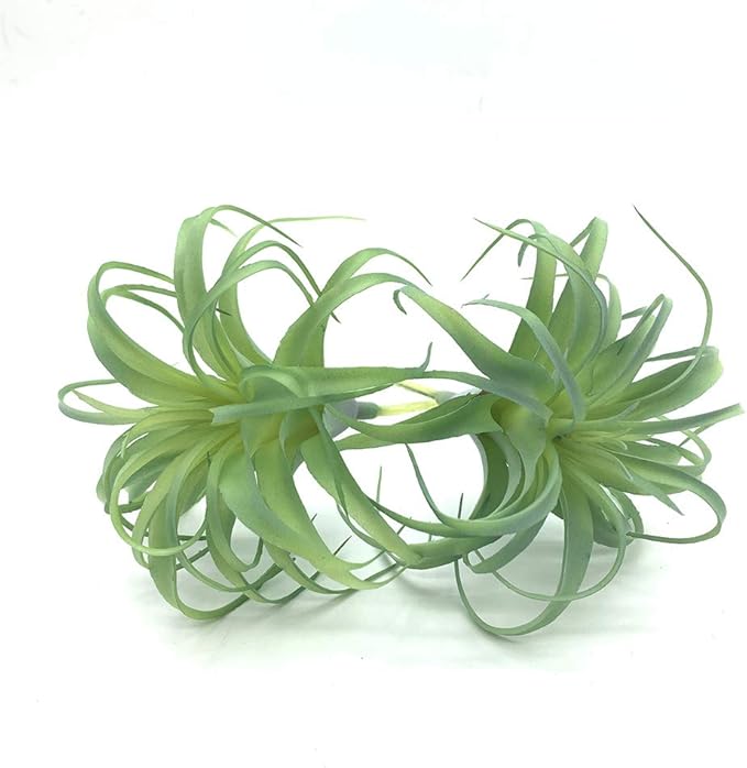 2 PCS Artificial Succulents Plants Real Touch Lifelike Succulants Plants Faux Greenery Plants Garden DIY Home Office Decoration Ornament (Air Plant)